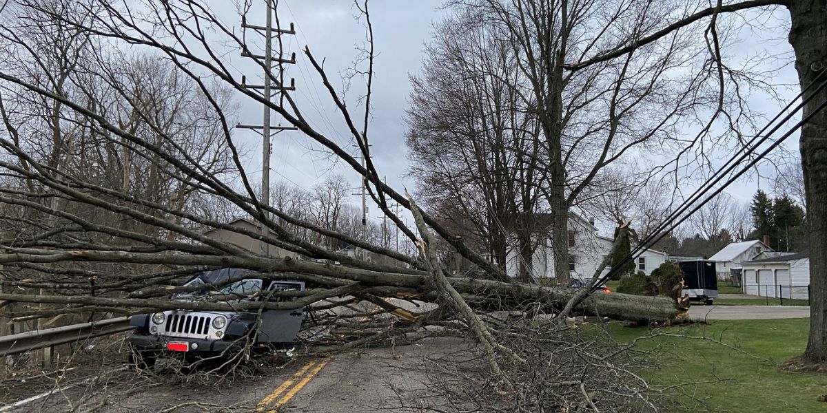 High Wind Warning Issued for Nebraska Gusts Up to 60 MPH Expected