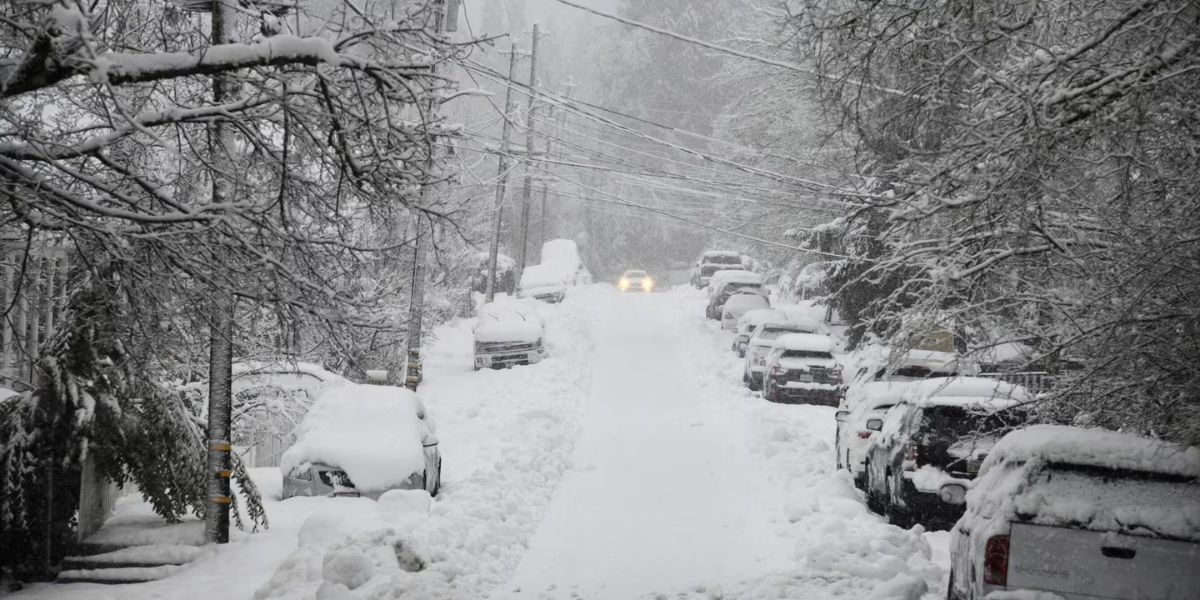 Nearly 5 Feet of Snow Hits New York Amid Widespread Winter Weather Alerts