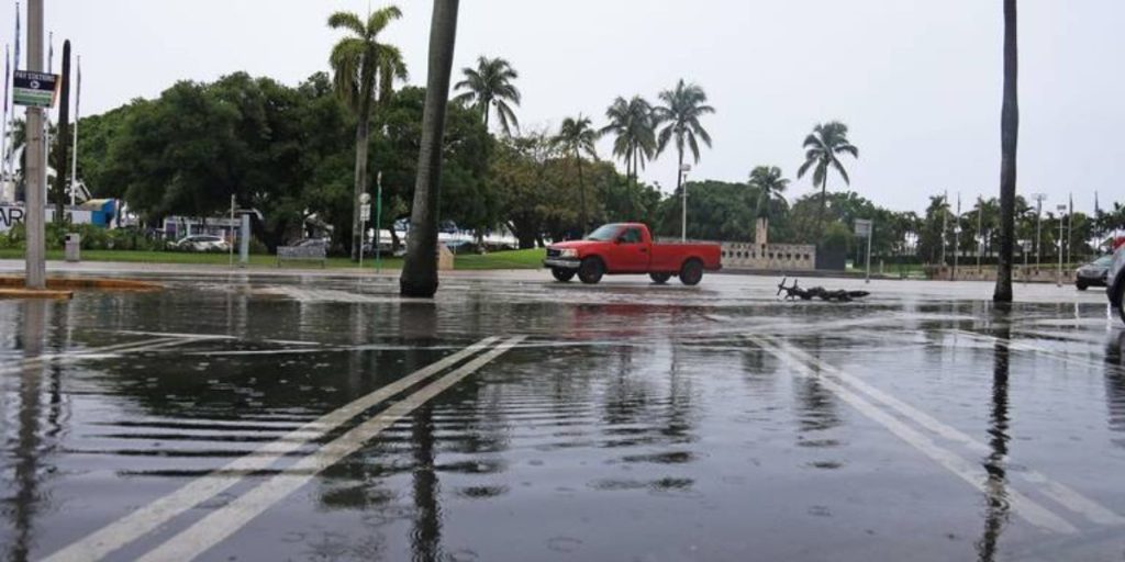 South Florida Weather Scattered Rain Showers and Mild Temperatures Lead Into New Year’s Celebrations (1)