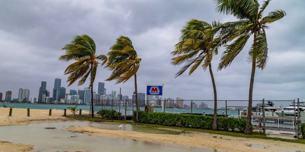 South Florida Weather Scattered Rain Showers and Mild Temperatures Lead Into New Year’s Celebrations