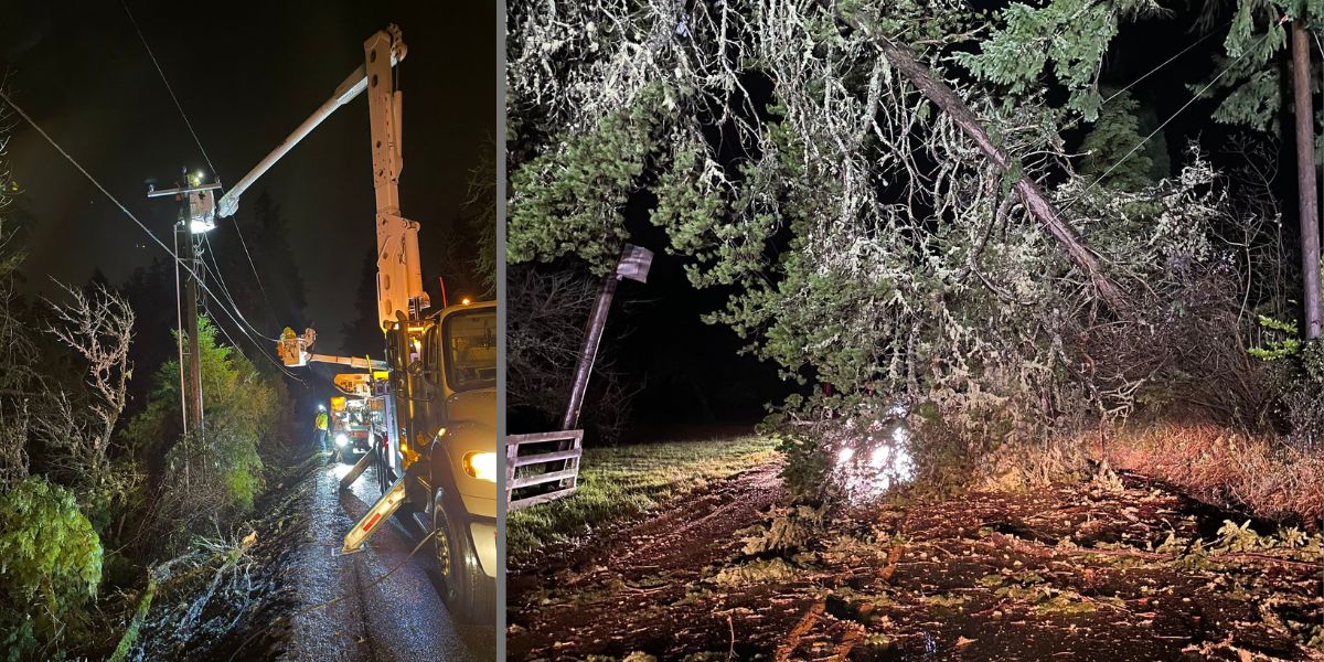 Winds Up to 90 MPH Knock Out Power, Cause Traffic Chaos Across Western Washington