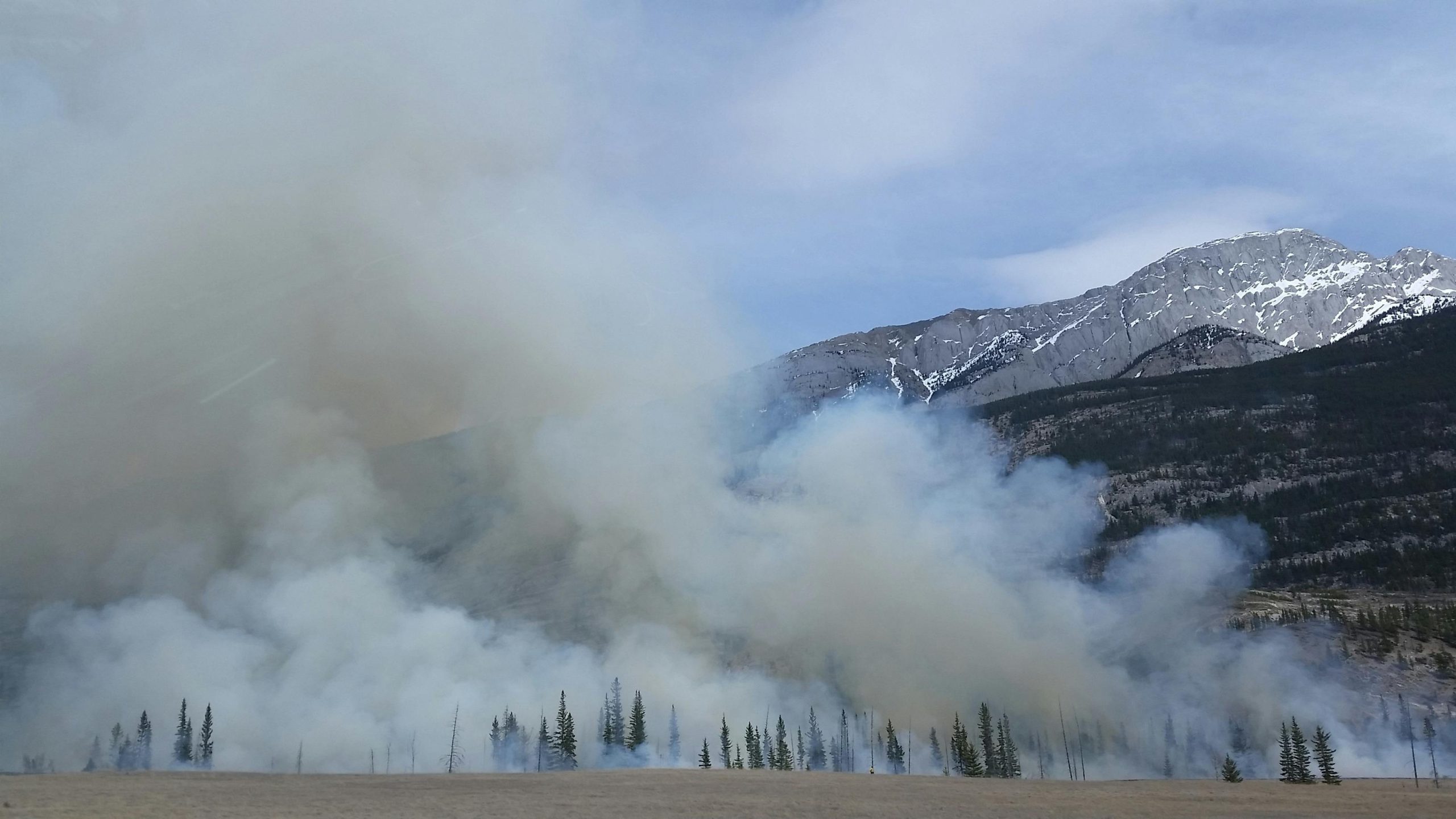 CalOSHA Warns Employers to Protect Workers from Dangerous Wildfire Smoke in California