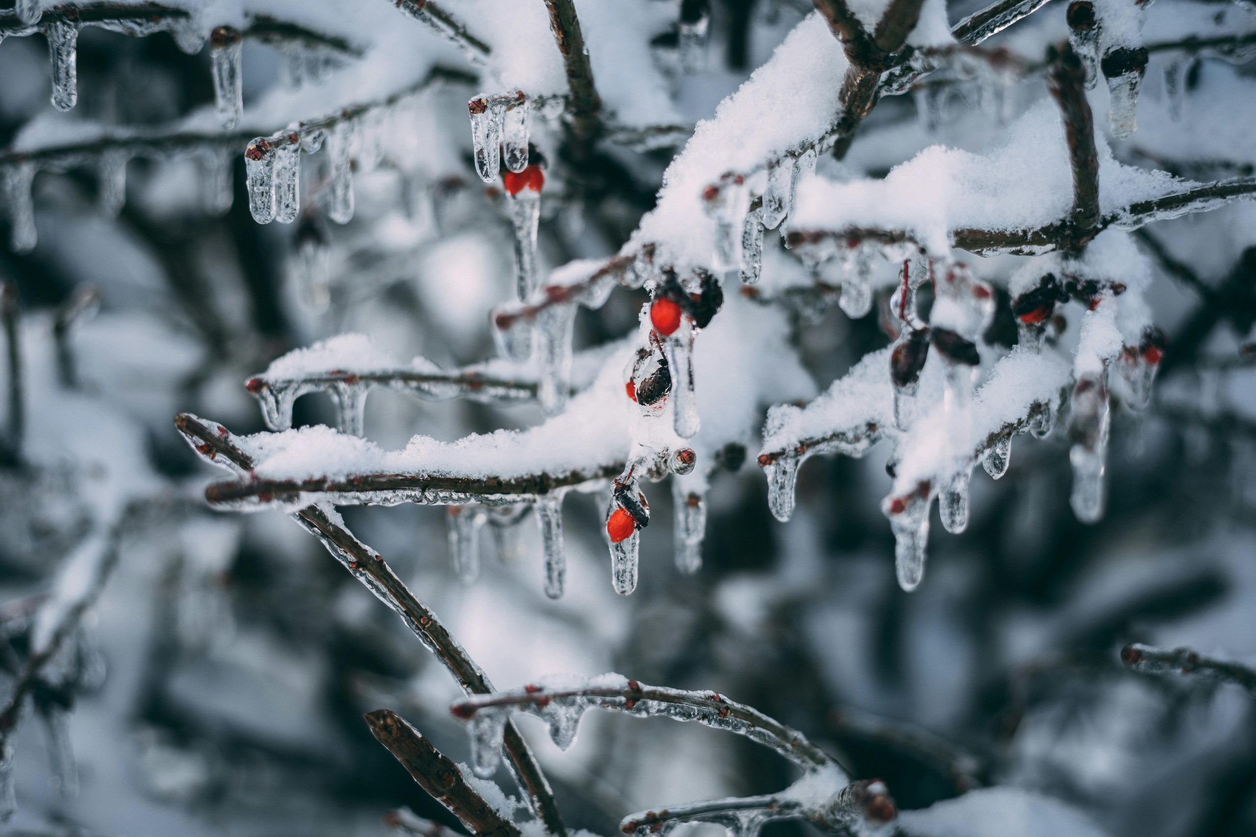 Big Weather Change Ahead for Southern Michigan Freezing Rain Risks Lowered