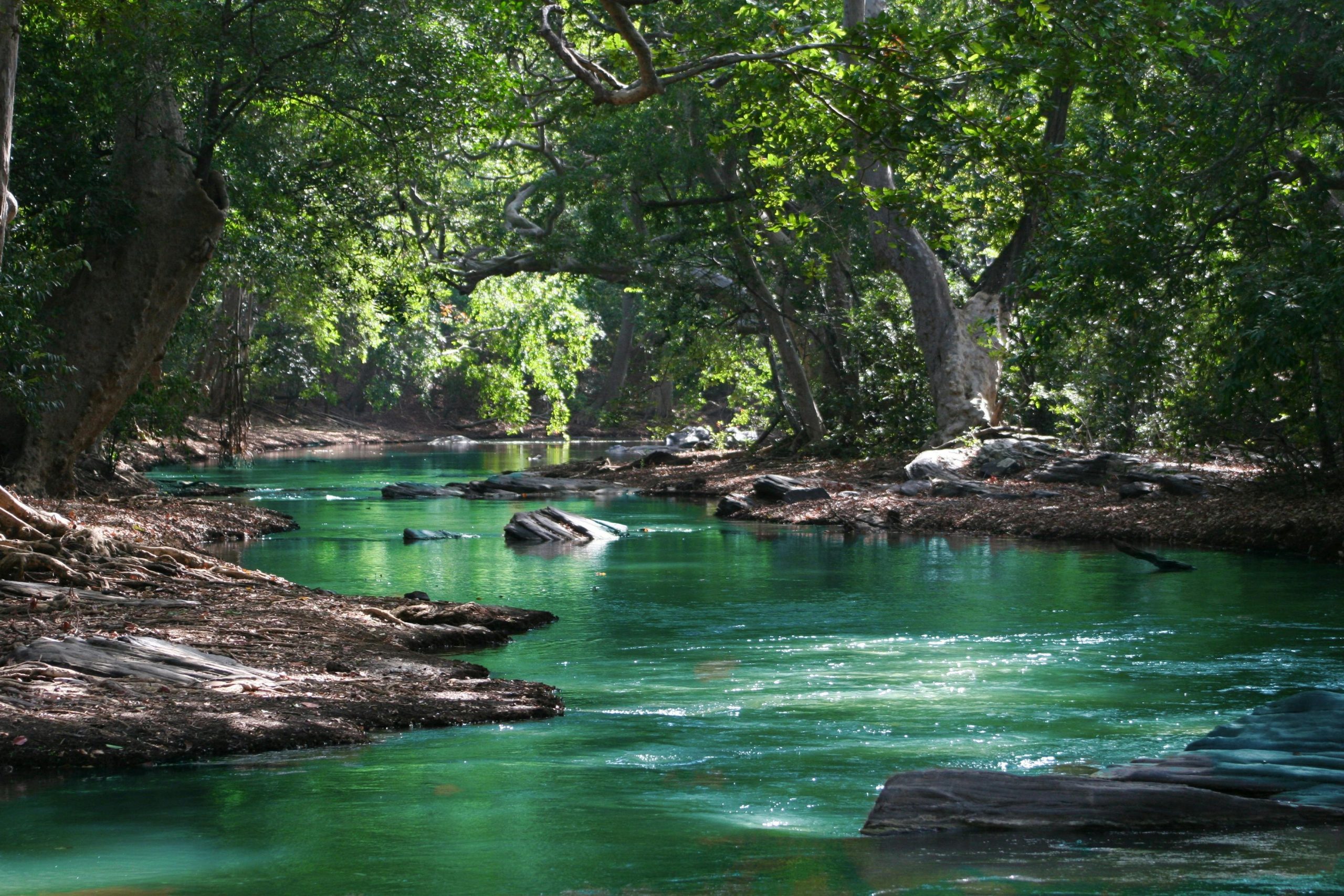 Illinois River Pollution Lawsuit - The Fight for Clean Water