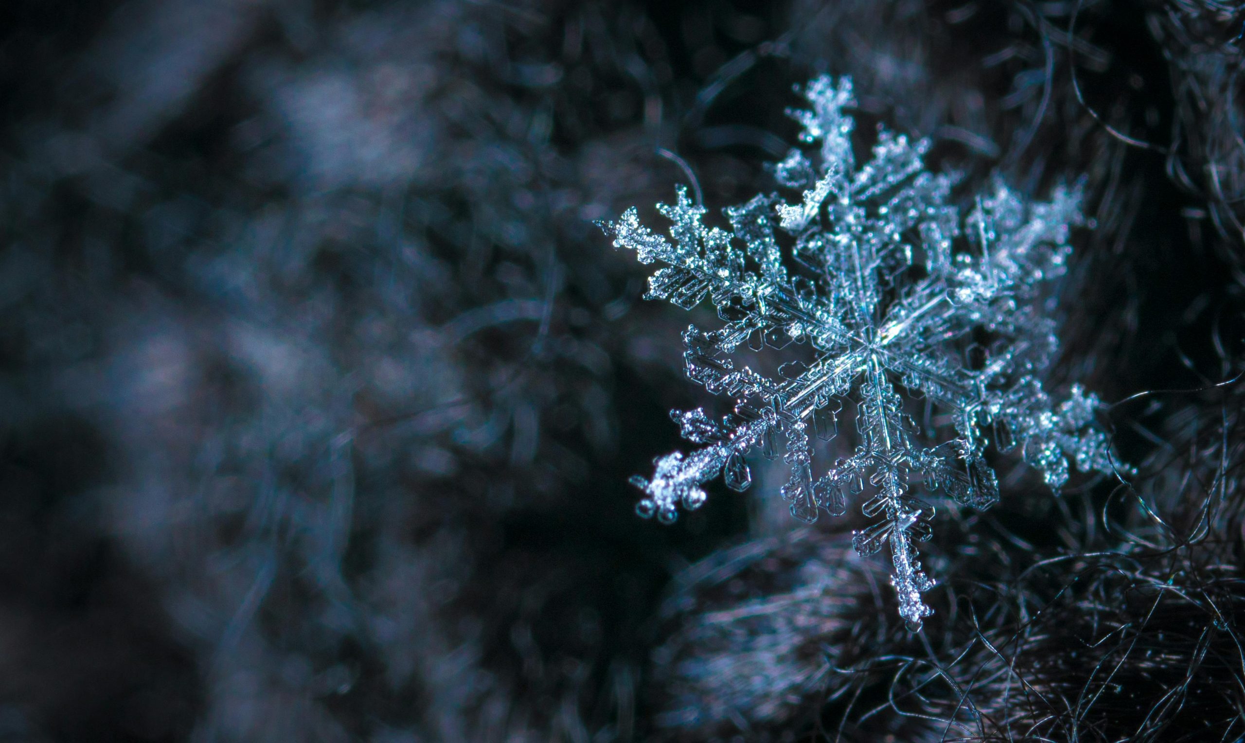 Snowfall Totals Across Massachusetts After Winter Storm Updates on Snowfall Amounts and Impacts