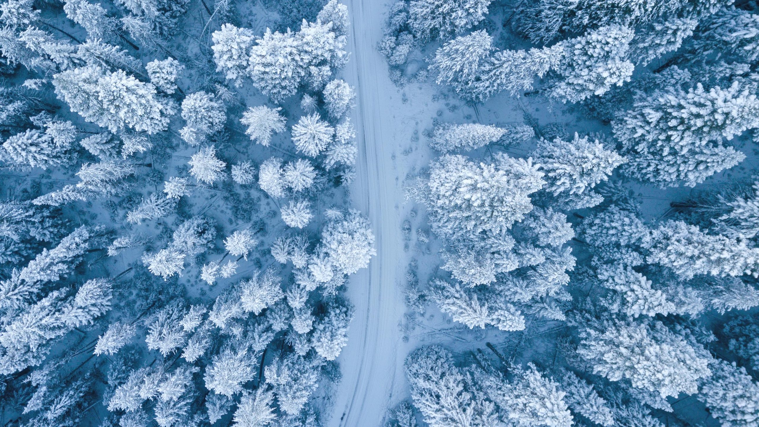 Snowstorm in Massachusetts See How Much Snow Fell Across the State