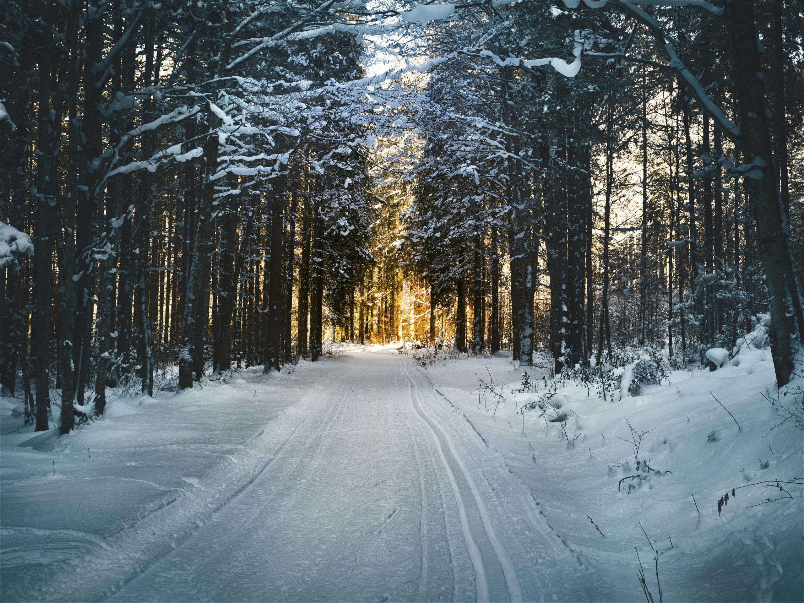 Winter Storm Warning Major Snowfall Expected in Massachusetts This Weekend