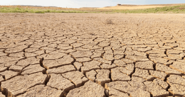 Flash Drought Worries Grow in Indiana as Dry Weather Takes Hold