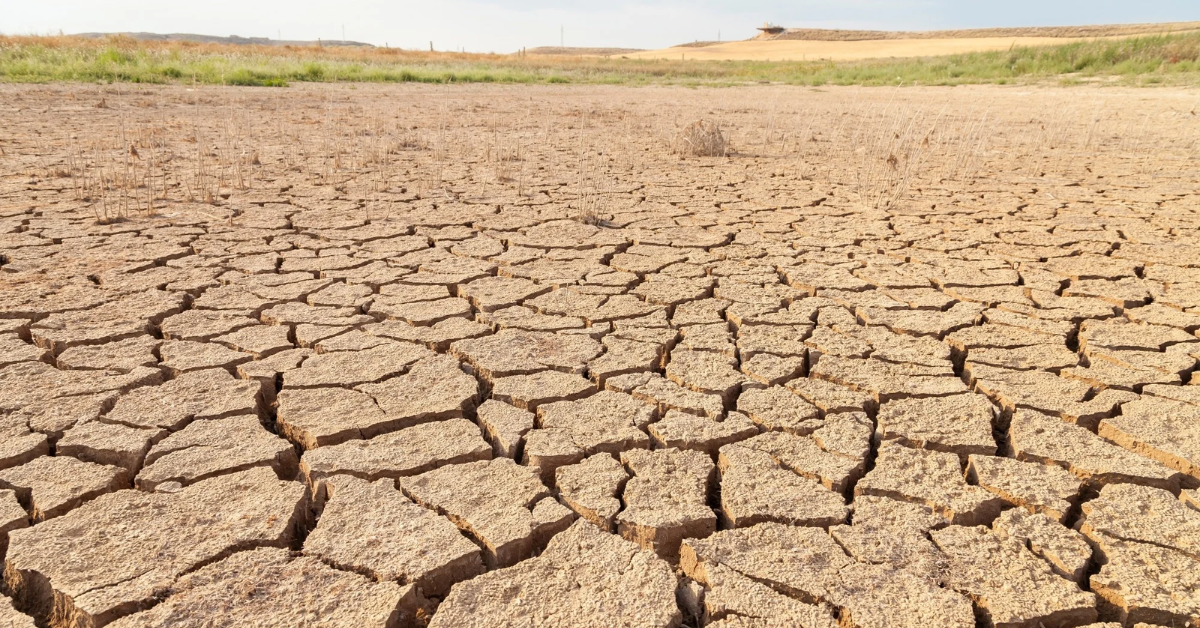 Flash Drought Worries Grow in Indiana as Dry Weather Takes Hold