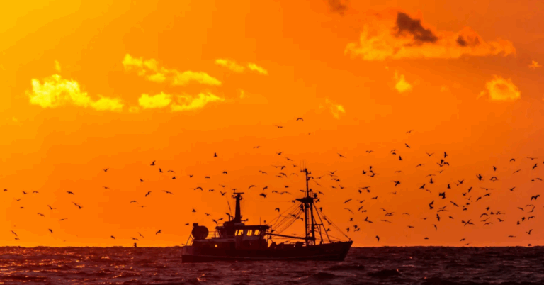 California's Ocean Heats Up: Record-Breaking Marine Heat Wave Threatens Coastal Life