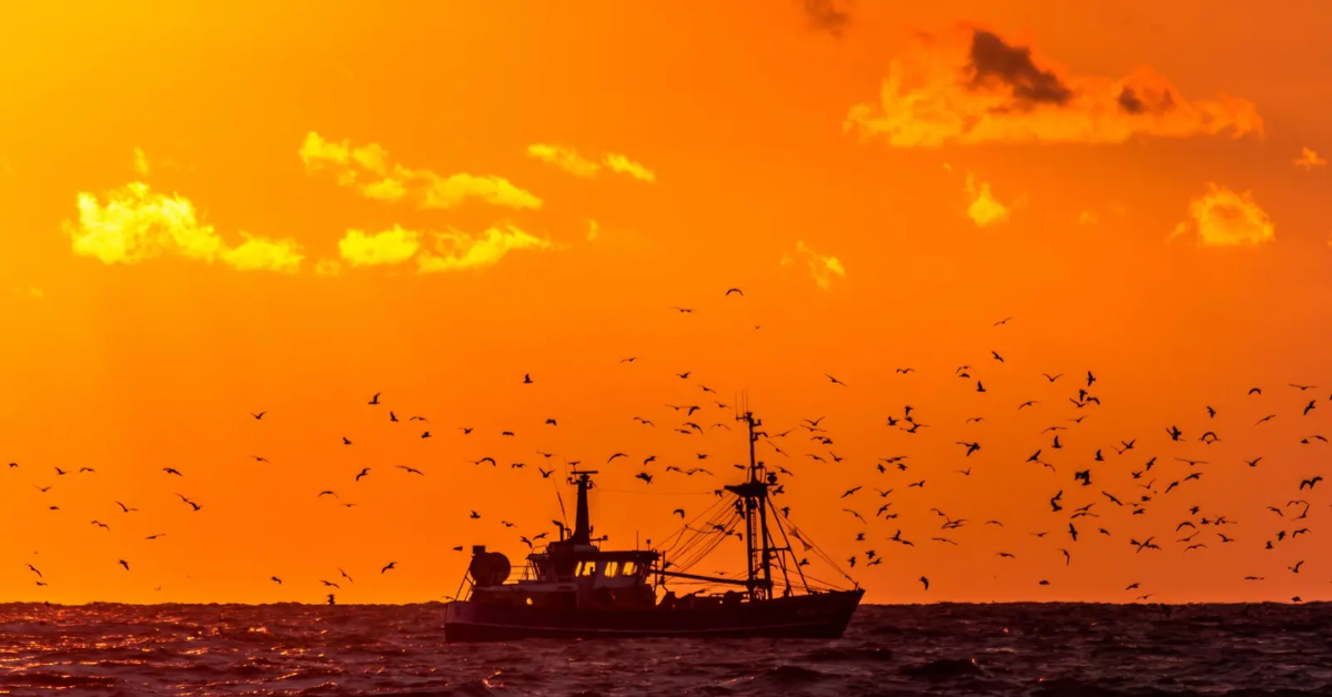 California's Ocean Heats Up: Record-Breaking Marine Heat Wave Threatens Coastal Life