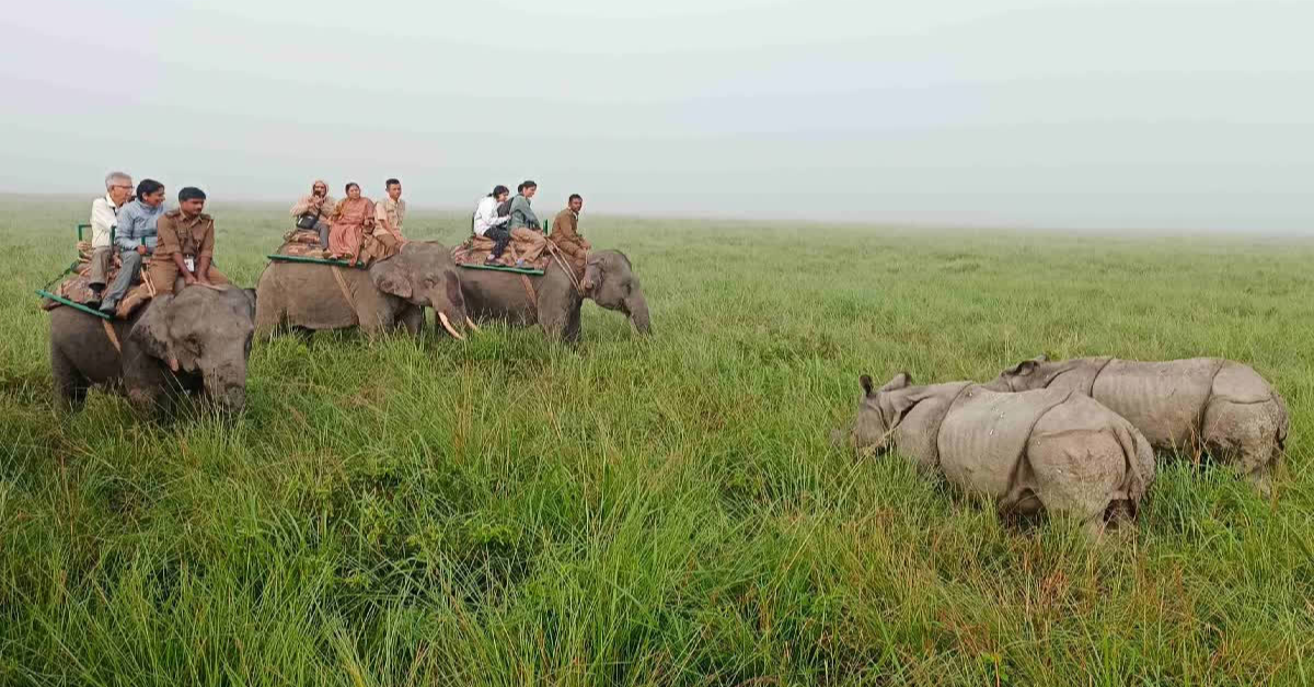 Local Authorities Take Urgent Action After Shocking Changes in Wildlife Behavior Across Regions