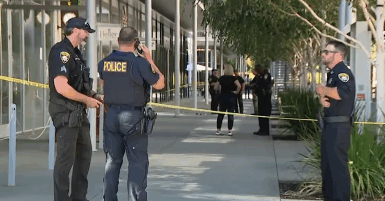How Technology and Police Teamwork Are Cracking Down on Bay Area Smash-and-Grab Thefts