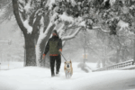 When Is the First Snow Expected in Denver? Find Out the Seasonal Surprise!