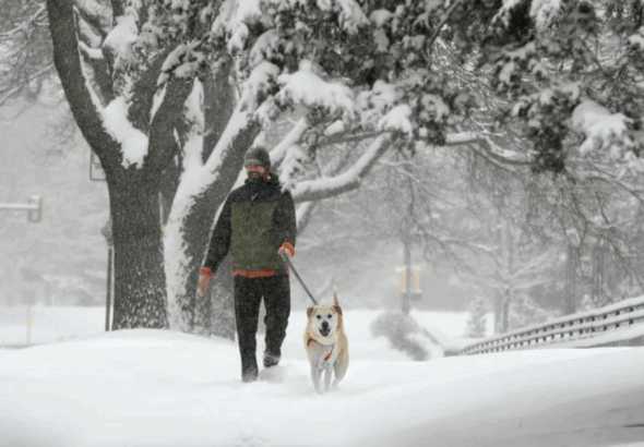 When Is the First Snow Expected in Denver? Find Out the Seasonal Surprise!