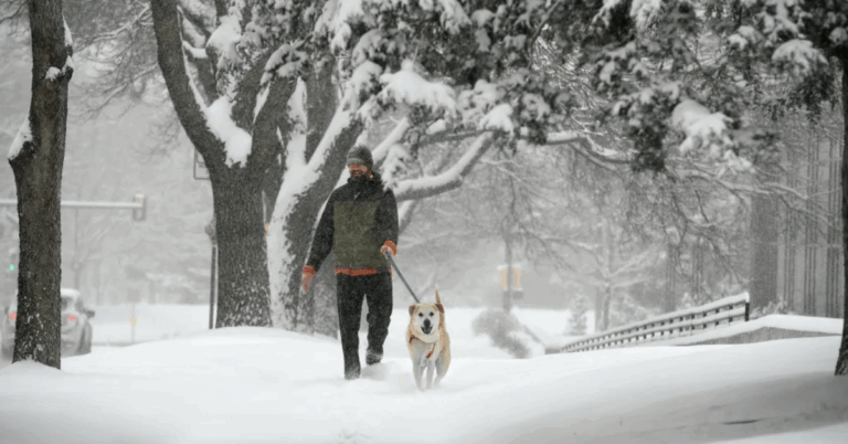 When Is the First Snow Expected in Denver? Find Out the Seasonal Surprise!