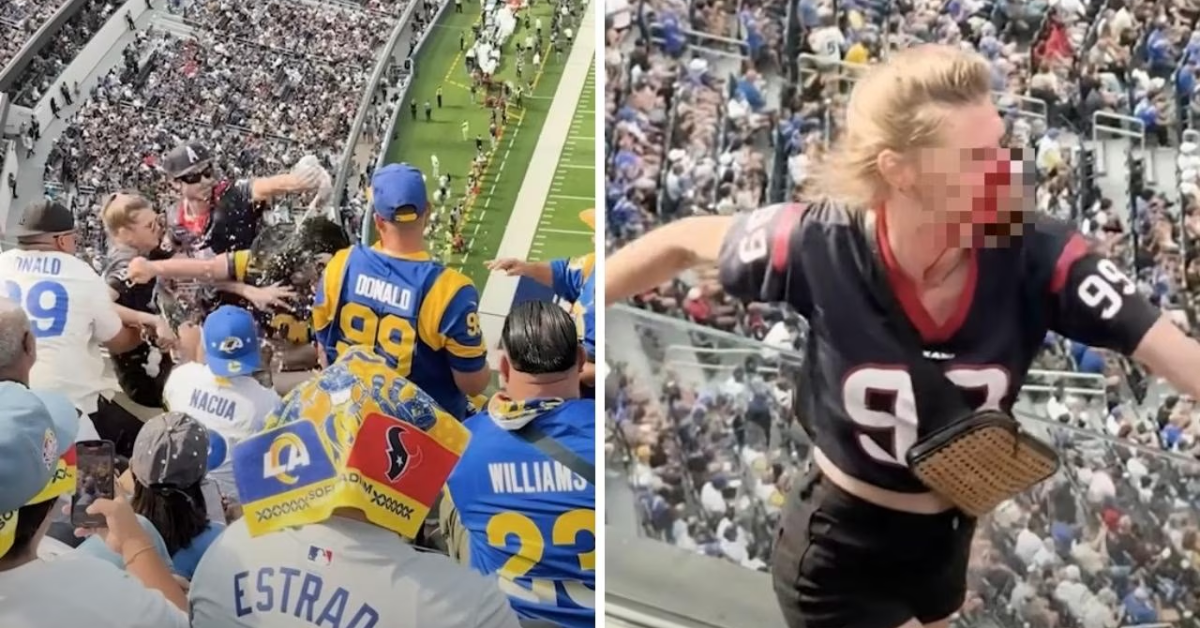 Shocking Violence Leaves Female NFL Fan Injured in Brutal Stadium Brawl
