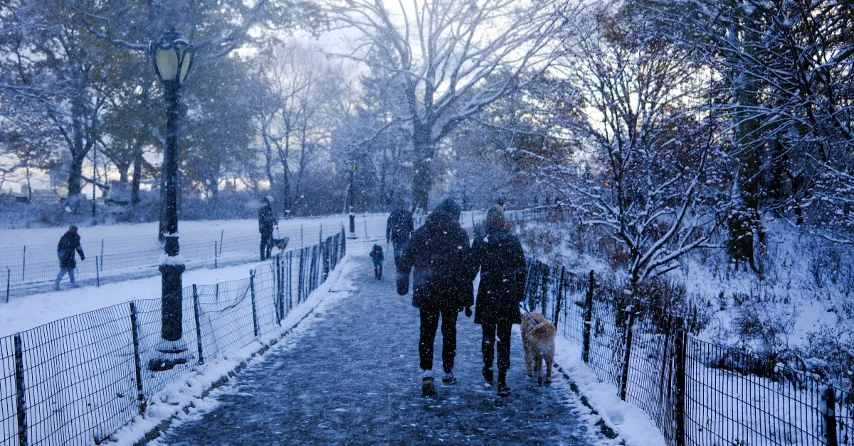 Exact Time Snow Will Fall in NYC Revealed in Unusual Winter 2025-26