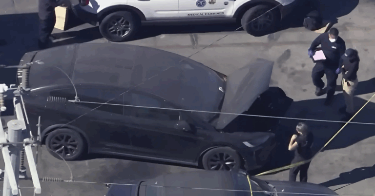 Body Found in Towed Tesla Registered to Singer D4vd Identified as 15-Year-Old Girl