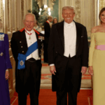 Melania Trump Faces Online Backlash for State Dinner Gown and Unusual Hat Choice